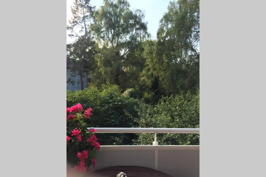 Bahnhofsnahe, Ruhige Und Sonnige 2 Zimmerwohnung Im Dichterviertel ヴィースバーデン エクステリア 写真